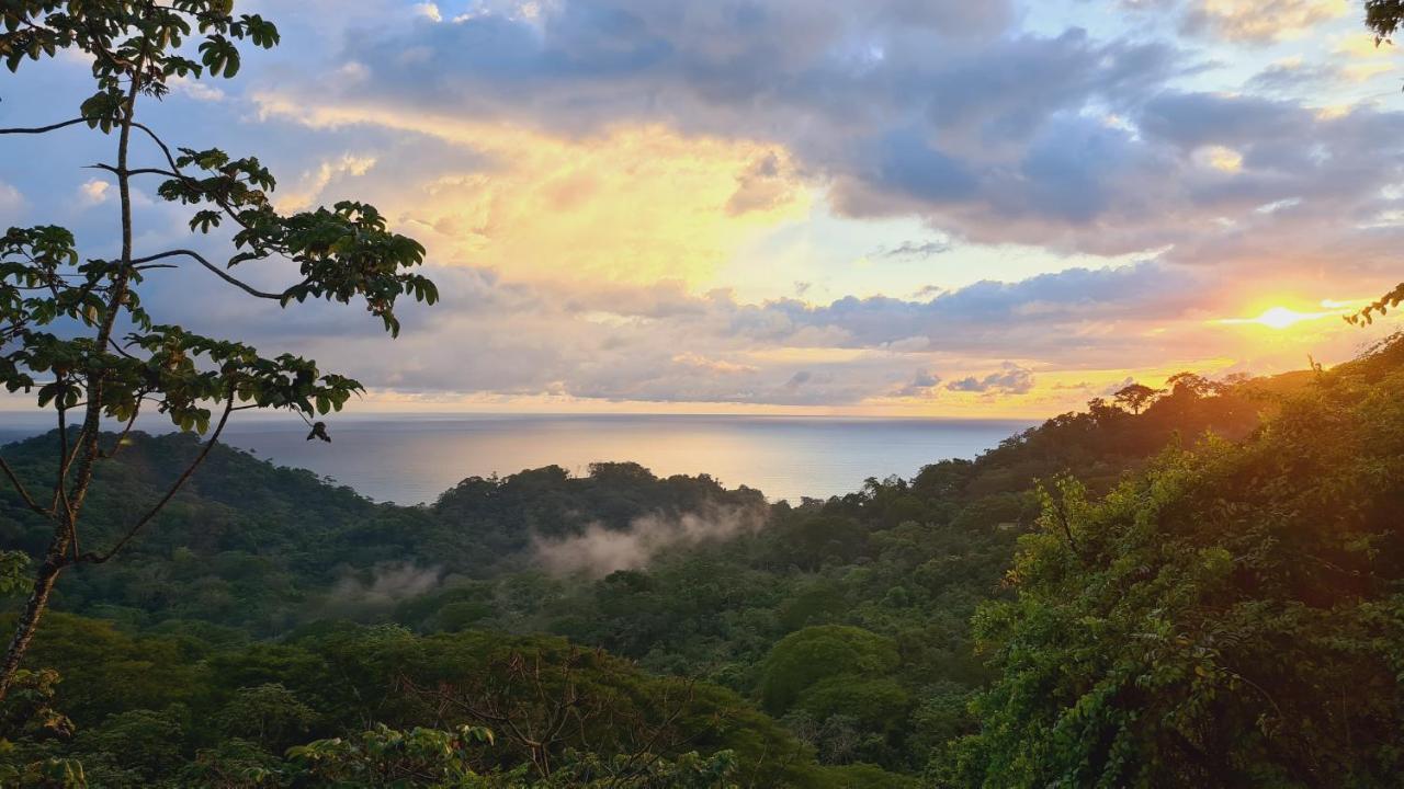 Playa Santa Teresa Casa Iguana别墅 外观 照片