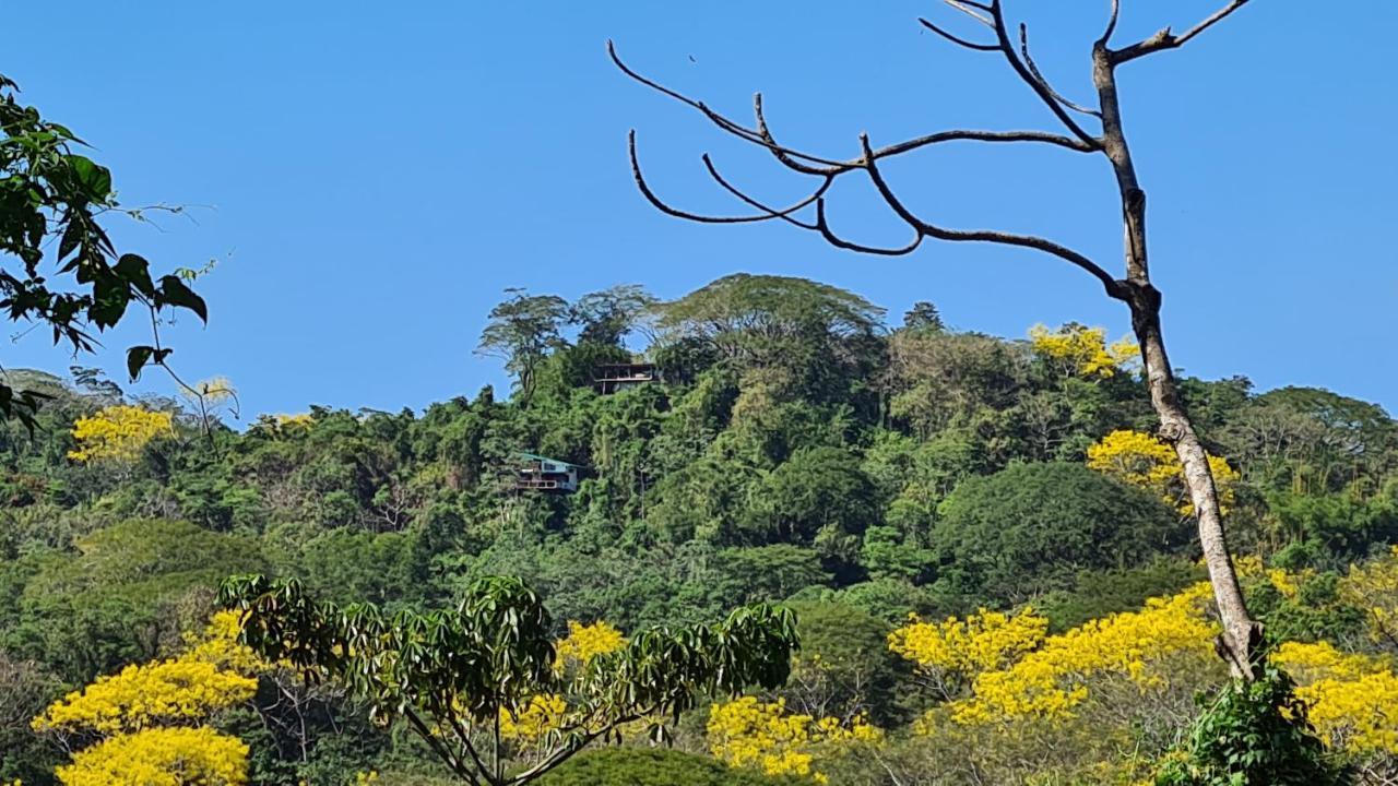 Playa Santa Teresa Casa Iguana别墅 外观 照片