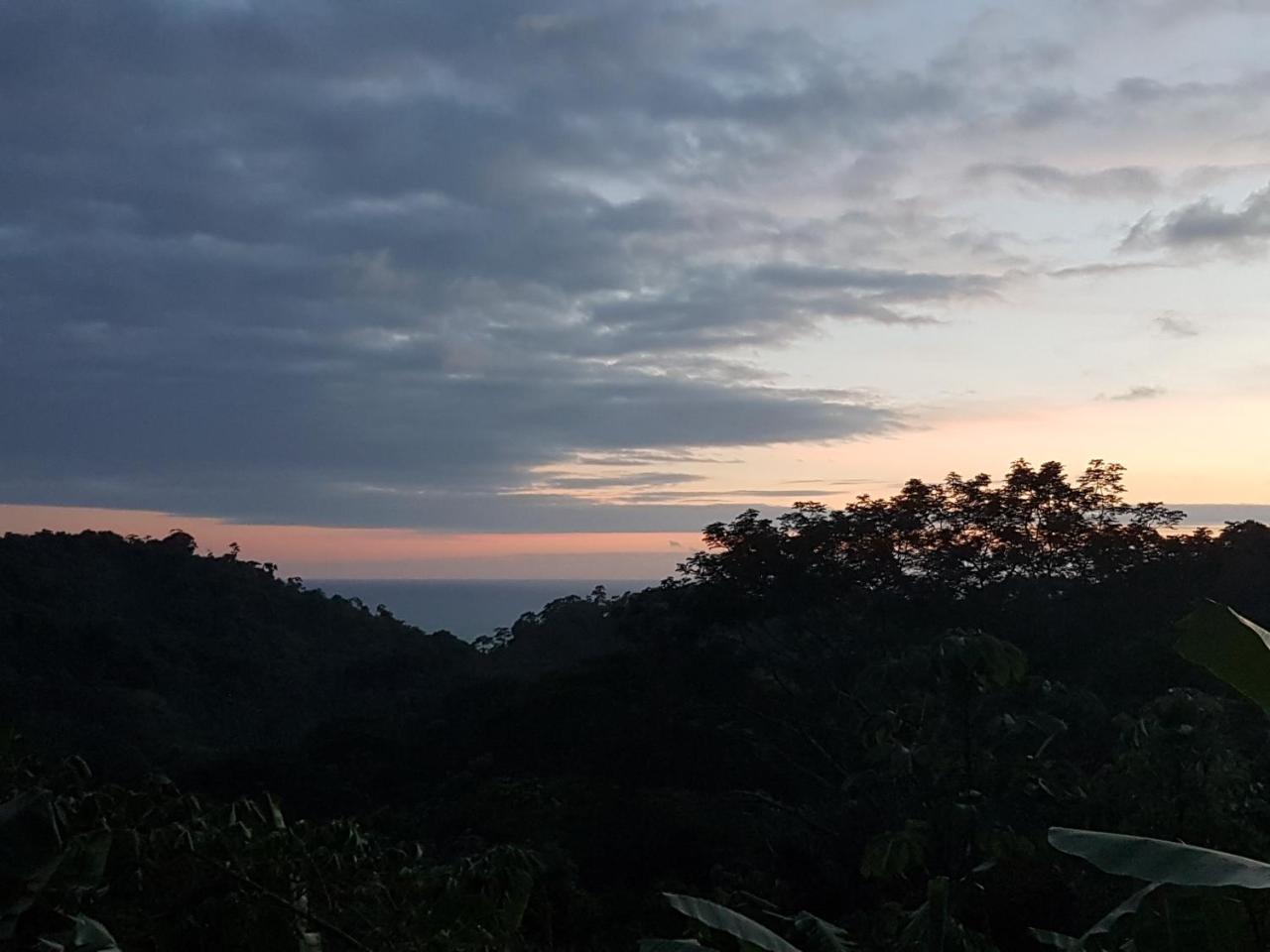 Playa Santa Teresa Casa Iguana别墅 外观 照片