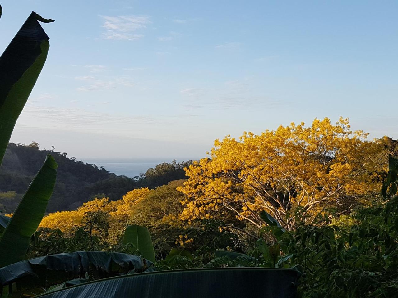 Playa Santa Teresa Casa Iguana别墅 外观 照片